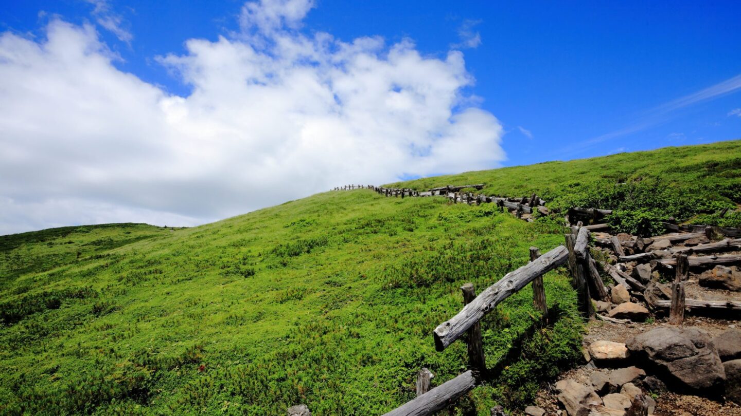 AdobeStock_89890037-scaled-1-2048x1366